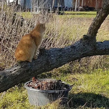 Beim Saalerbodden Lejlighed Bartelshagen (Vorpommern-Rugen)